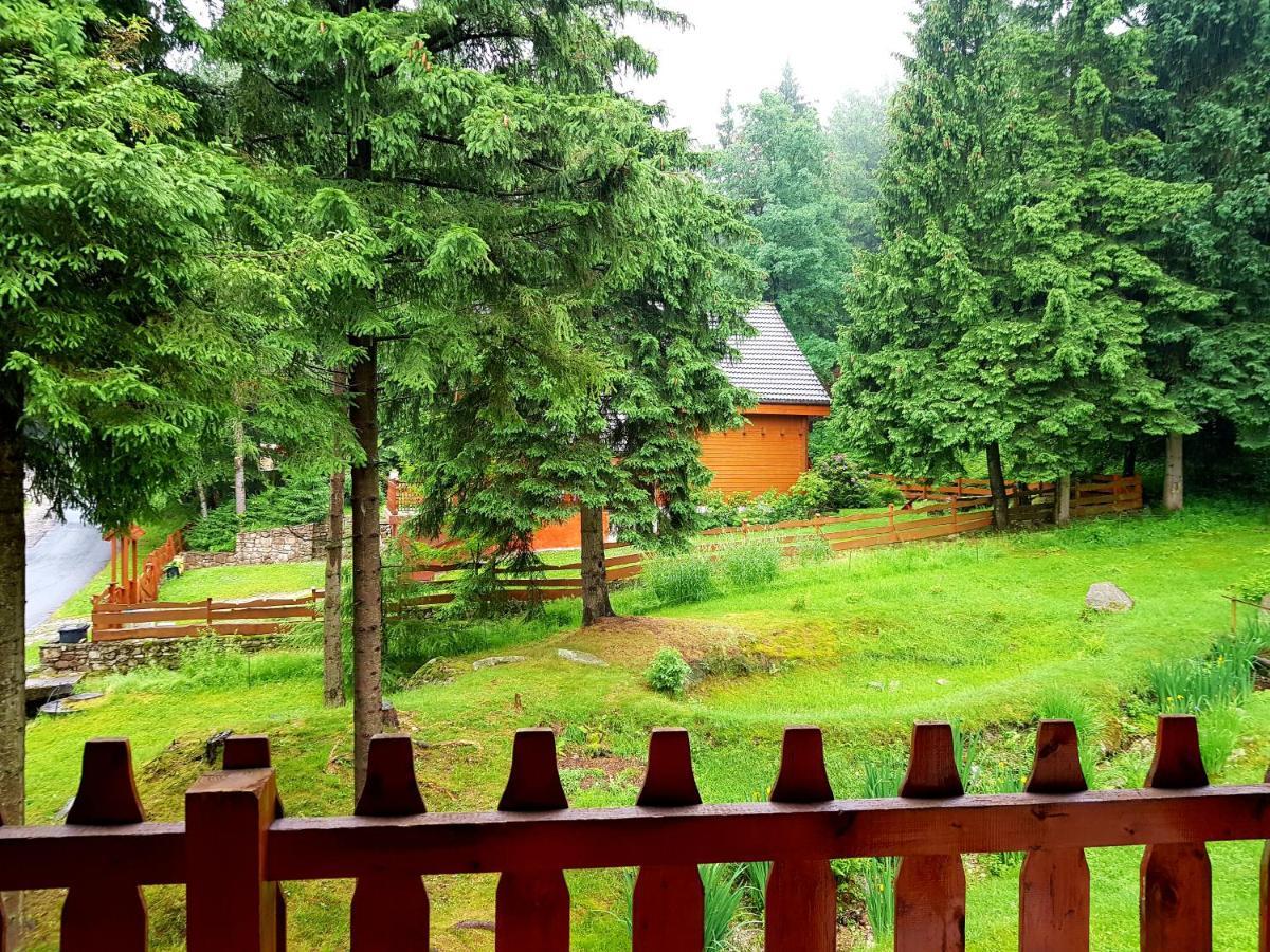 Goralka Apartment Karpacz