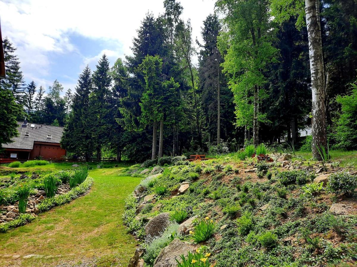 Goralka Apartment *