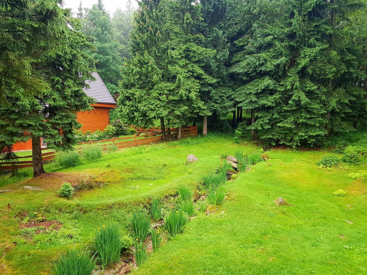 Goralka Apartment Karpacz